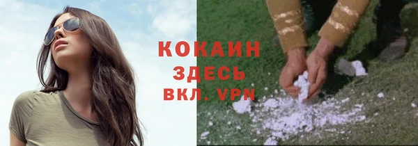 гашик Медвежьегорск