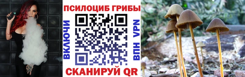 Галлюциногенные грибы ЛСД  Чёрмоз 